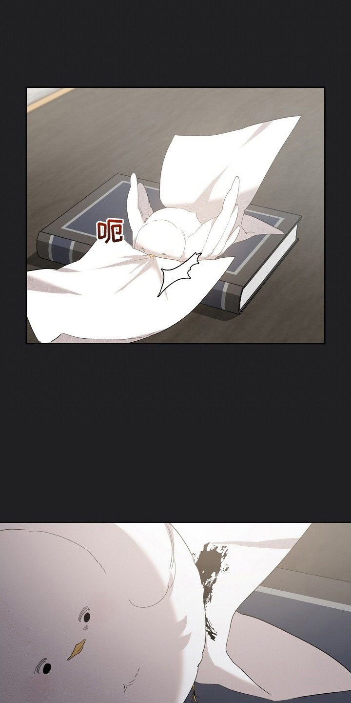 白鸟奇遇记6漫画,第17章：取名5图