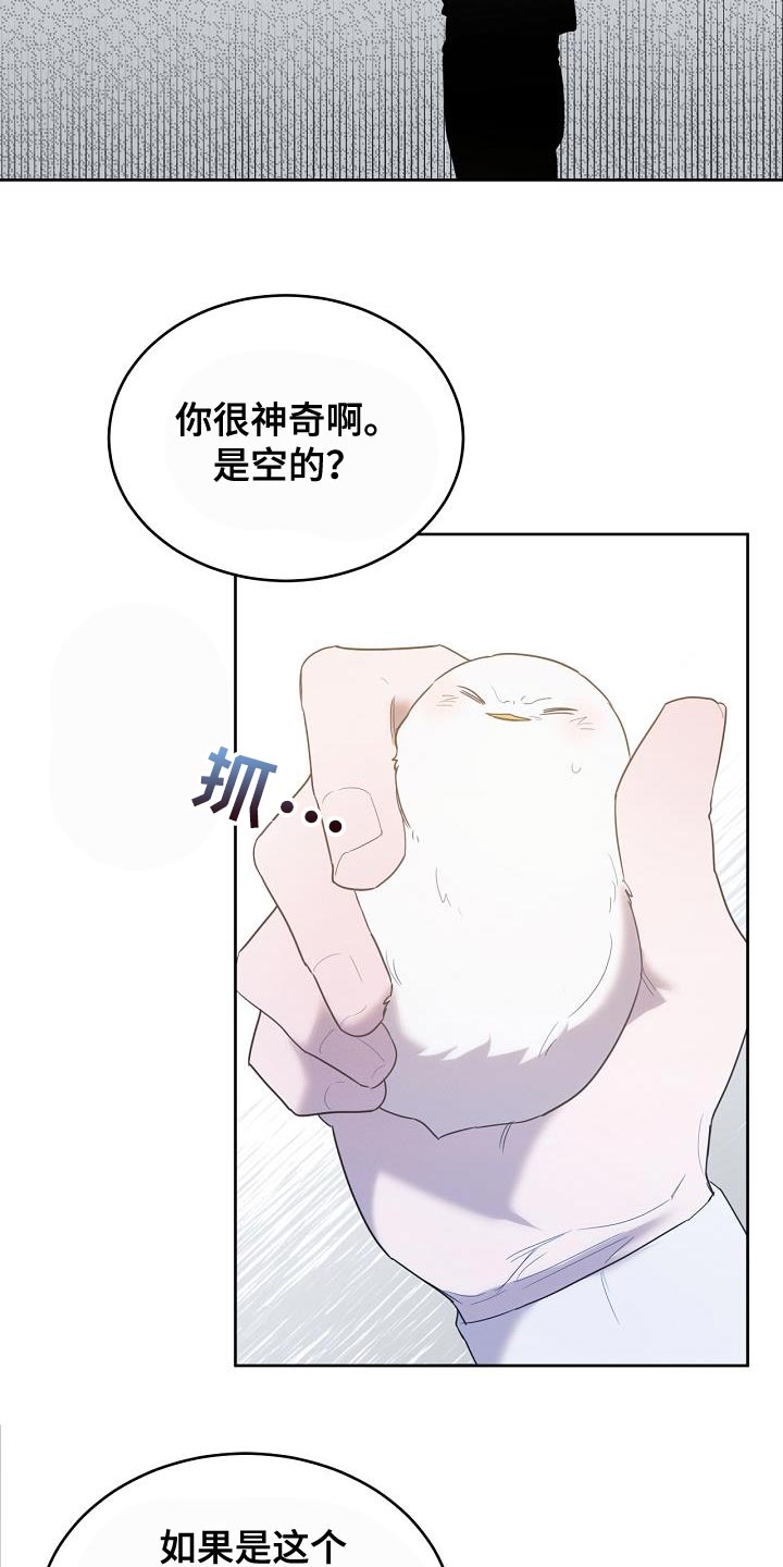 白鸟奇遇记漫画,第41章：似乎会很有趣4图