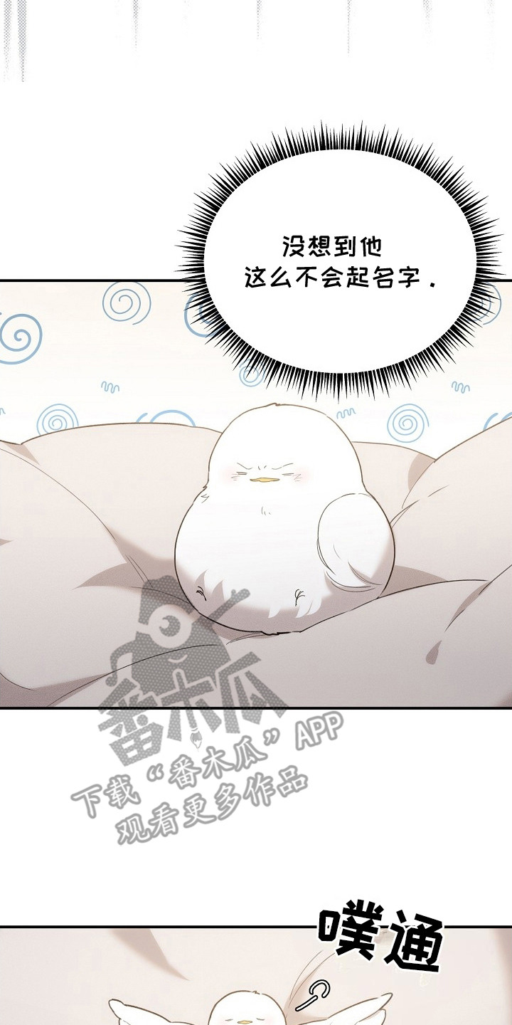 白鸟奇遇记6漫画,第18章：瑟瑟发抖4图