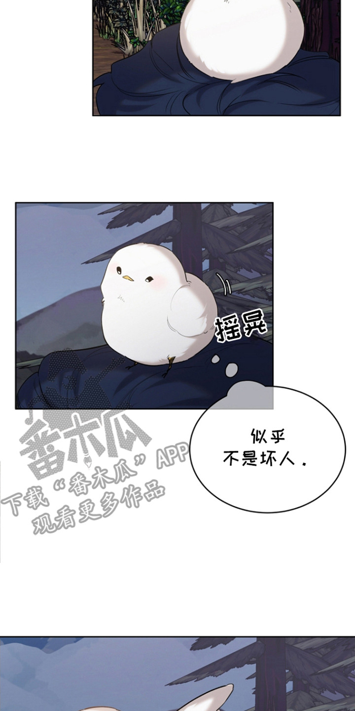 《白鸟奇遇记》简介漫画,第25章：陌生旅人4图