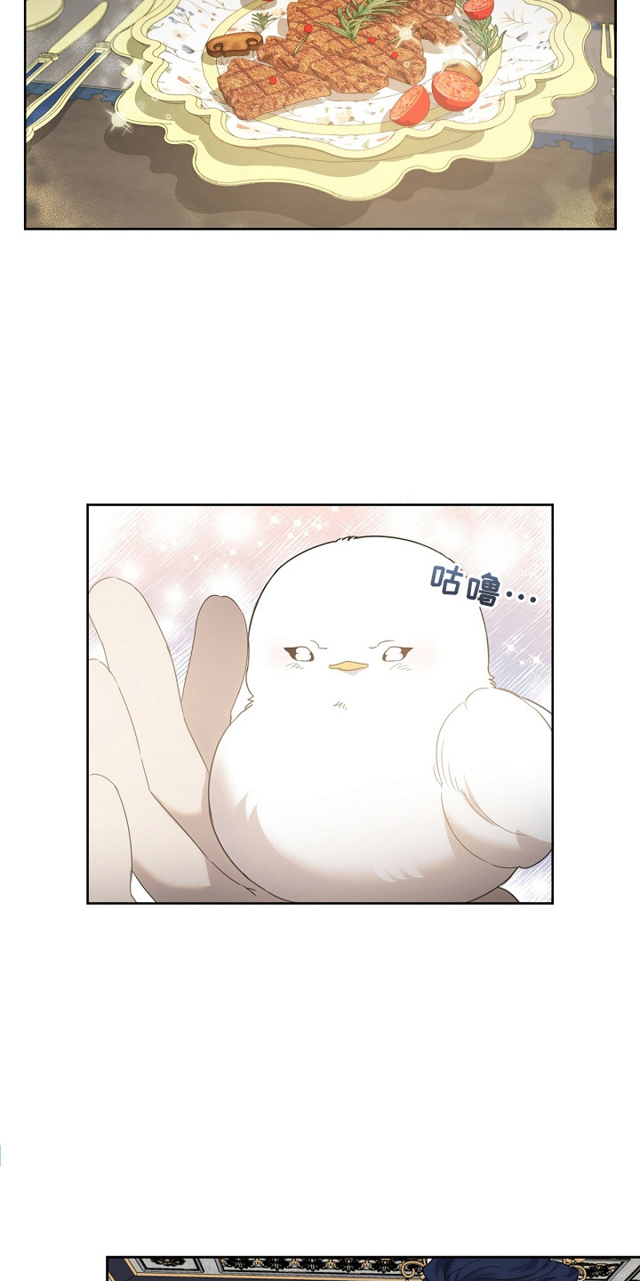 白鸟奇遇记漫画,第14章：很聪明5图