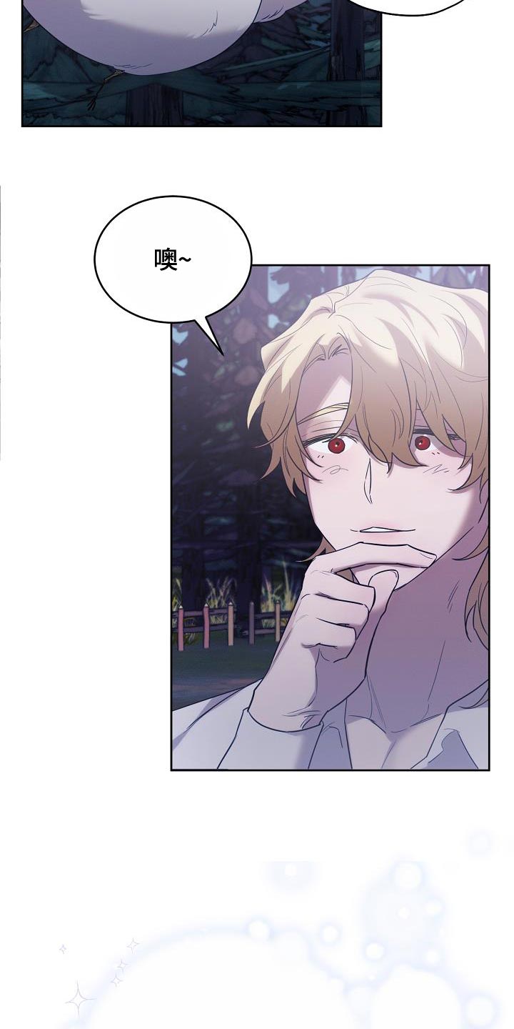 白鸟奇遇记漫画,第41章：似乎会很有趣5图