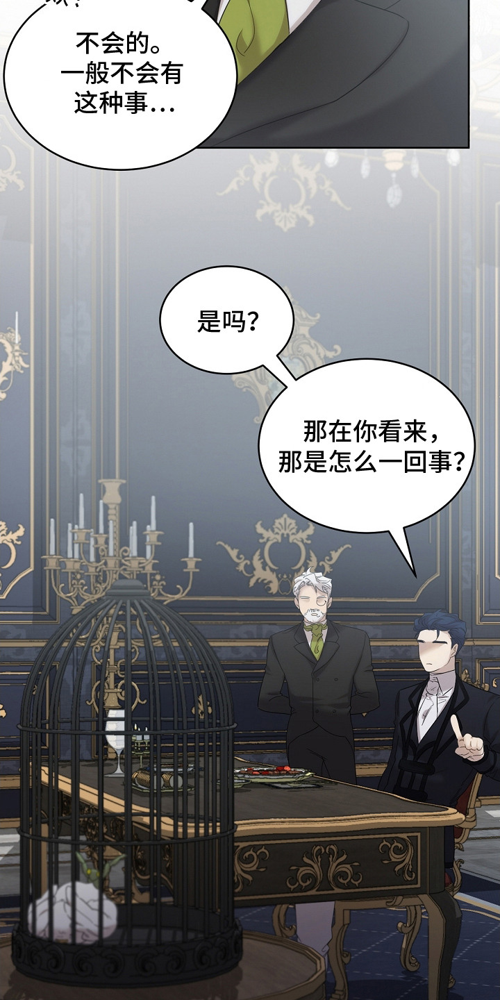 白鸟奇遇记6漫画,第11章：食物1图