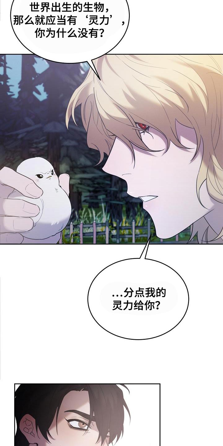 白鸟奇遇记漫画,第41章：似乎会很有趣5图