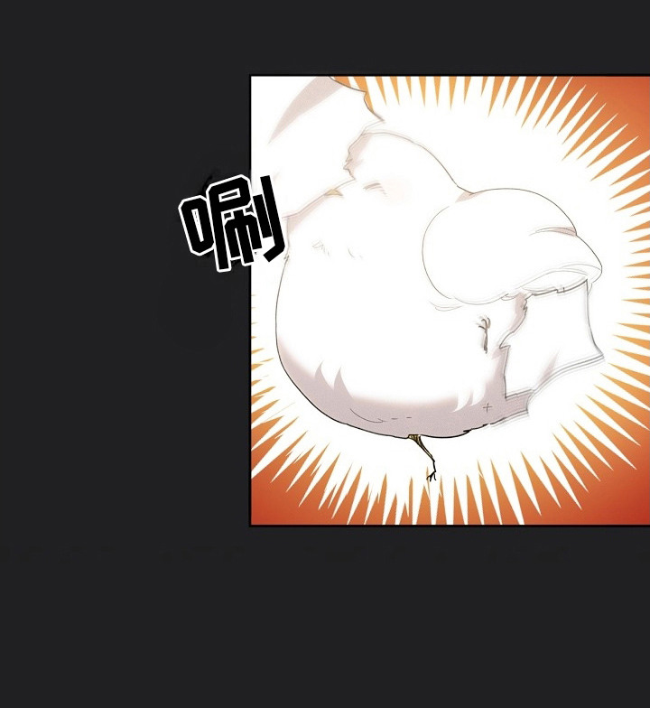 白鸟奇遇记漫画还叫什么漫画,第17章：取名4图