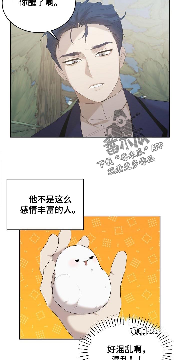 白鸟奇遇记漫画,第27章：好混乱啊5图