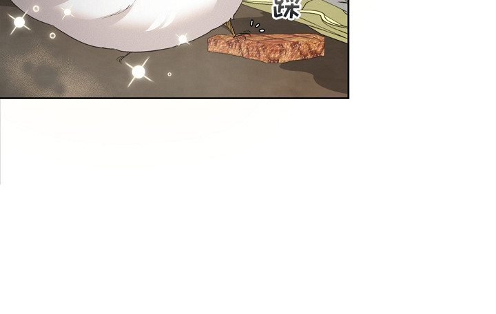 白鸟奇遇记又叫什么漫画,第15章：好好吃2图