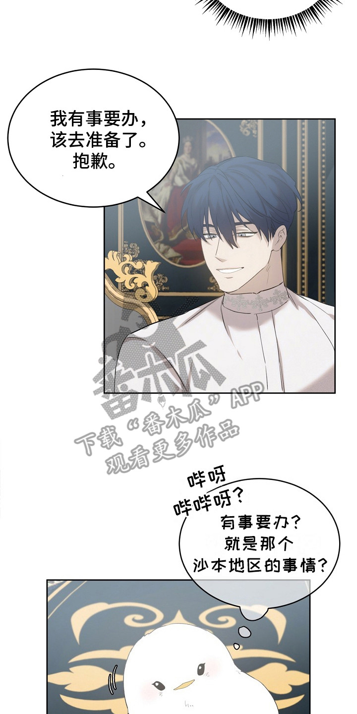 白鸟奇遇记漫画,第20章：筑巢2图