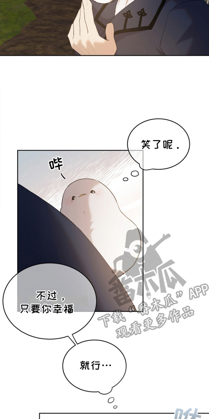 白鸟奇遇记漫画,第24章：牵动内心2图