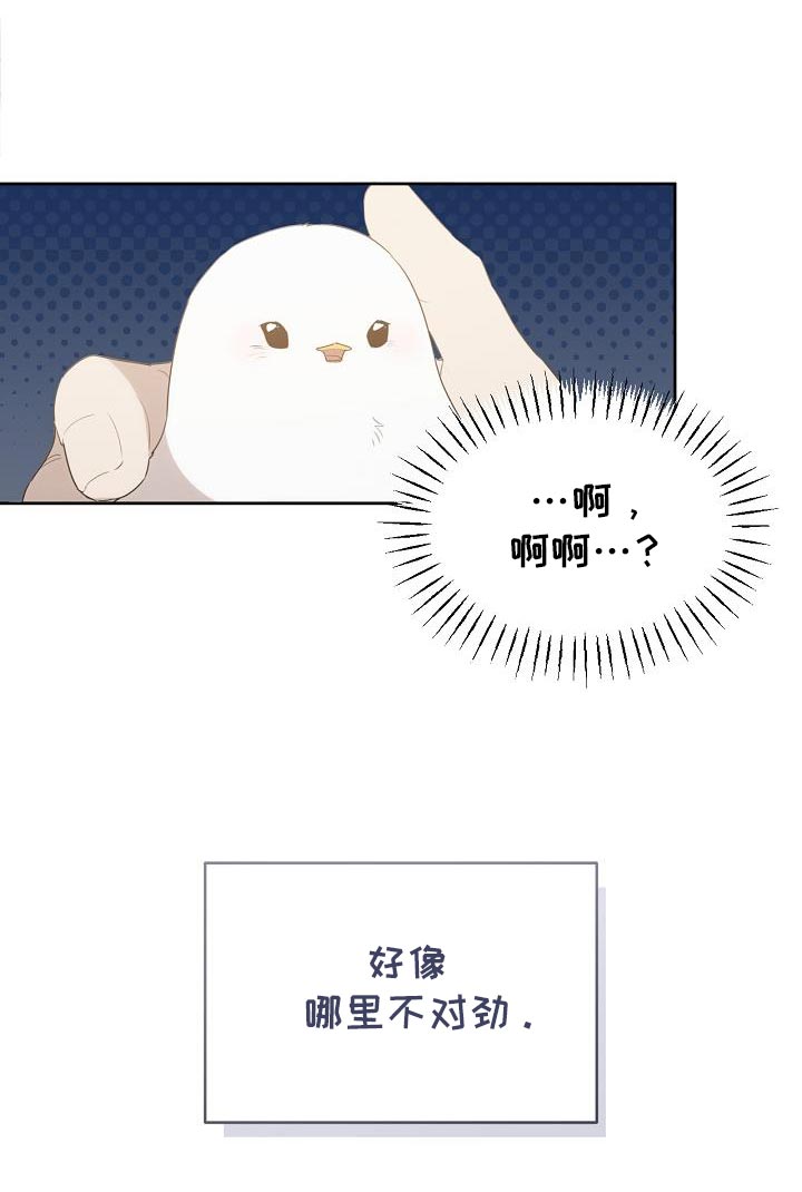 白鸟奇遇记第1季漫画,第34章：不对劲3图