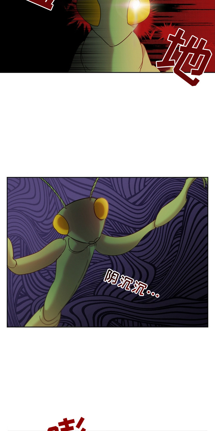 白鸟奇遇记6漫画,第11章：食物3图