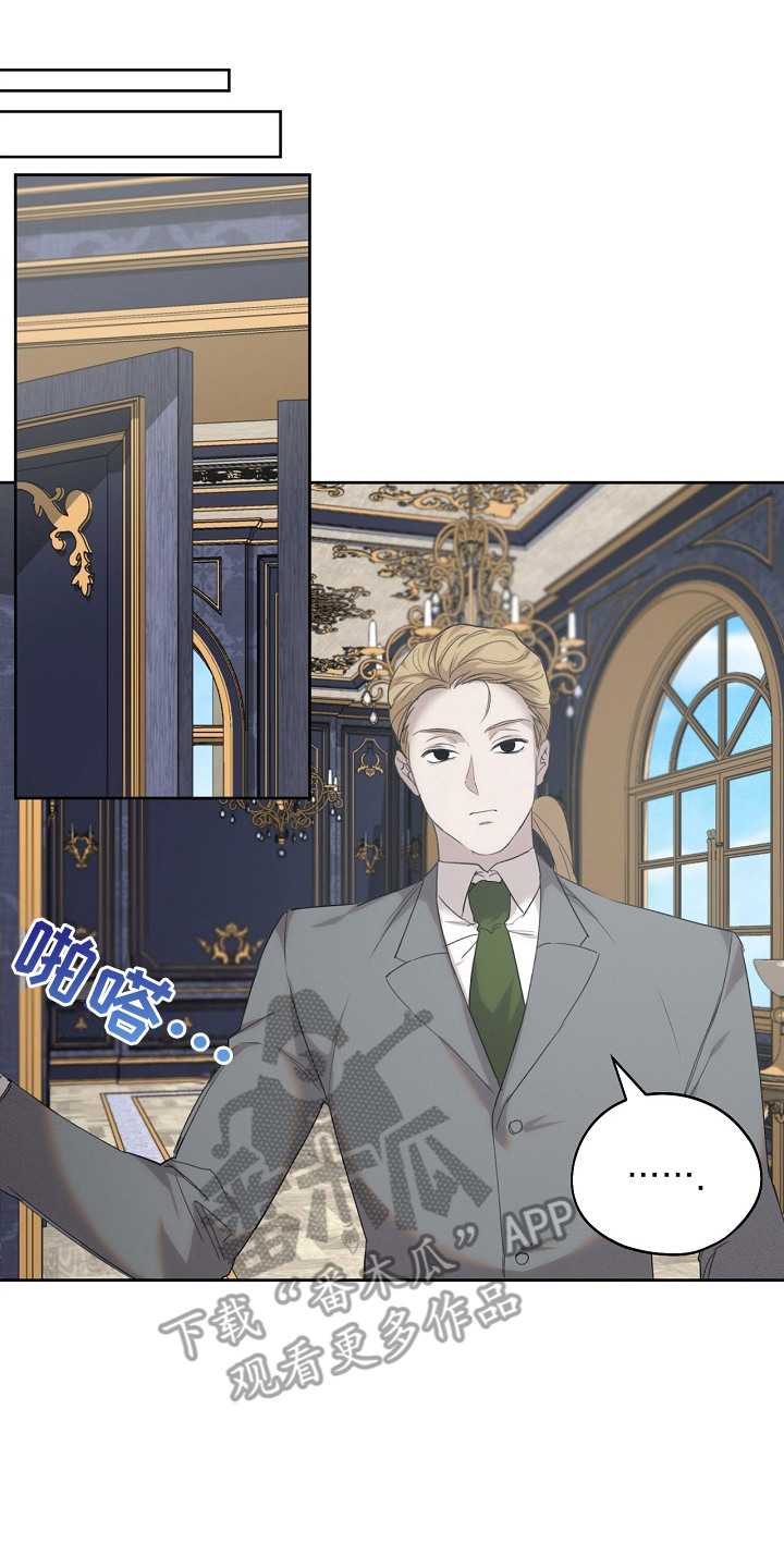 白鸟奇遇记漫画,第19章：稀有血统2图