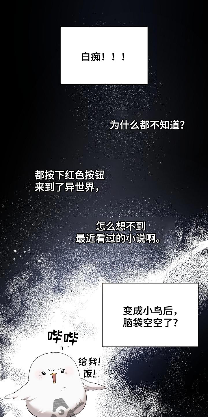白鸟奇遇记漫画,第27章：好混乱啊5图