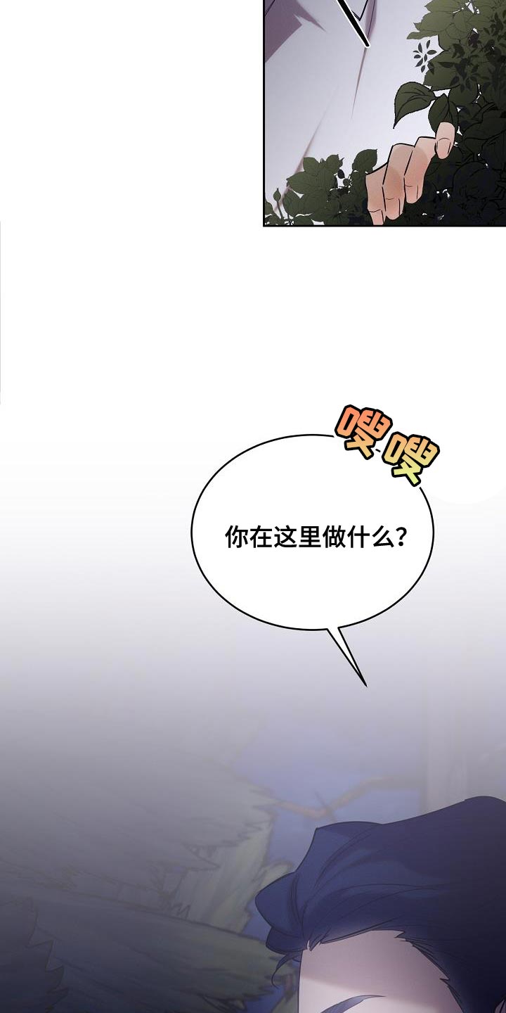 白鸟奇遇记漫画免费下拉观看漫画,第42章：兽人族1图
