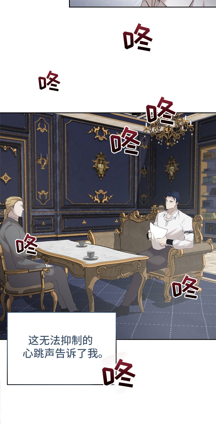 白鸟奇遇记漫画,第19章：稀有血统1图