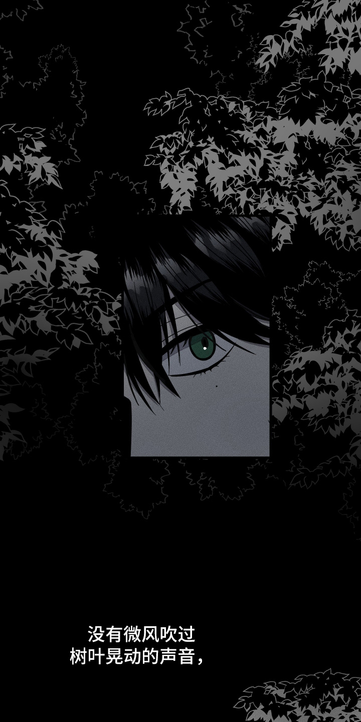 无影无踪漫画,第13章：黑暗5图