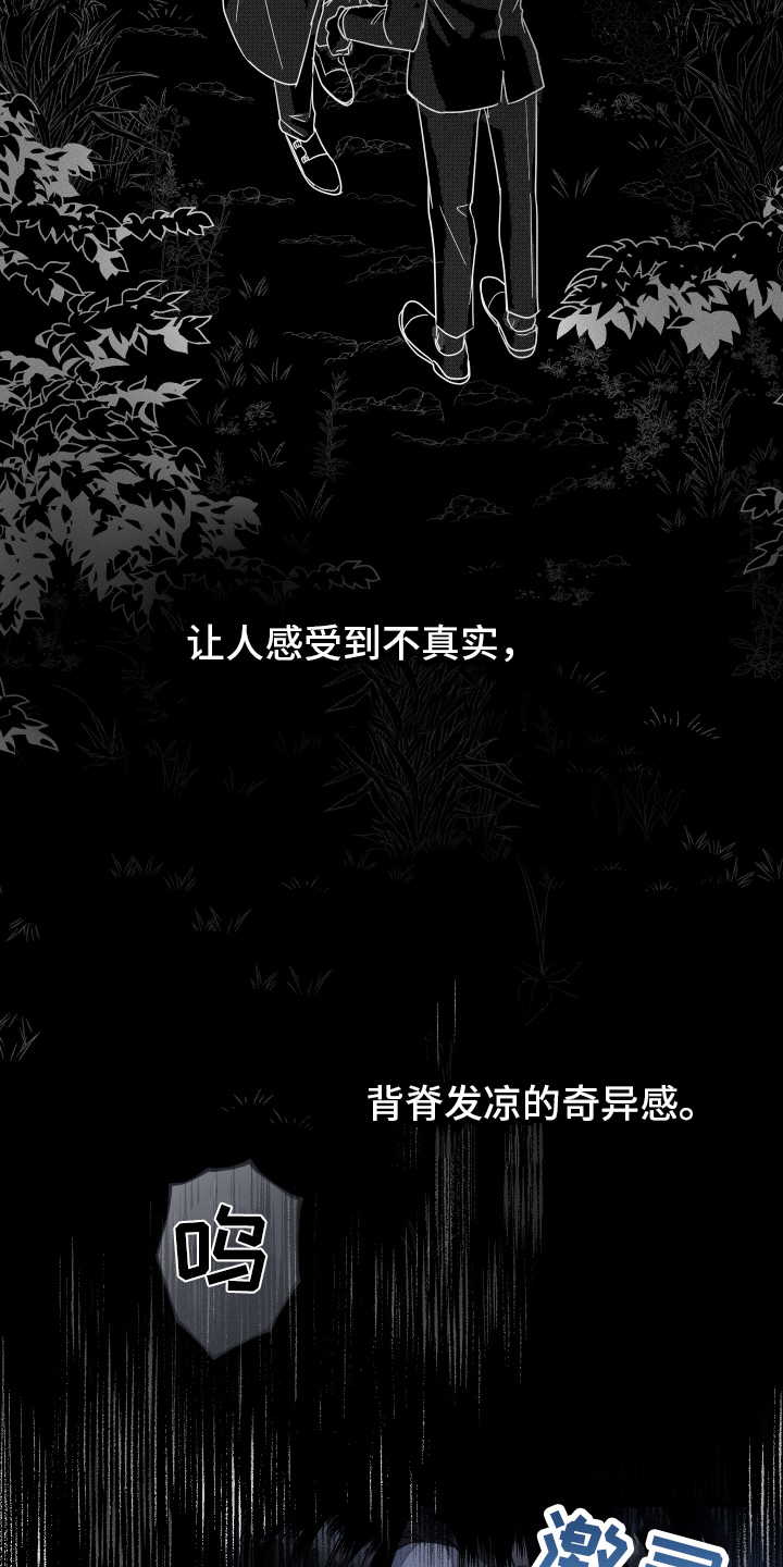 无影无踪漫画,第13章：黑暗2图