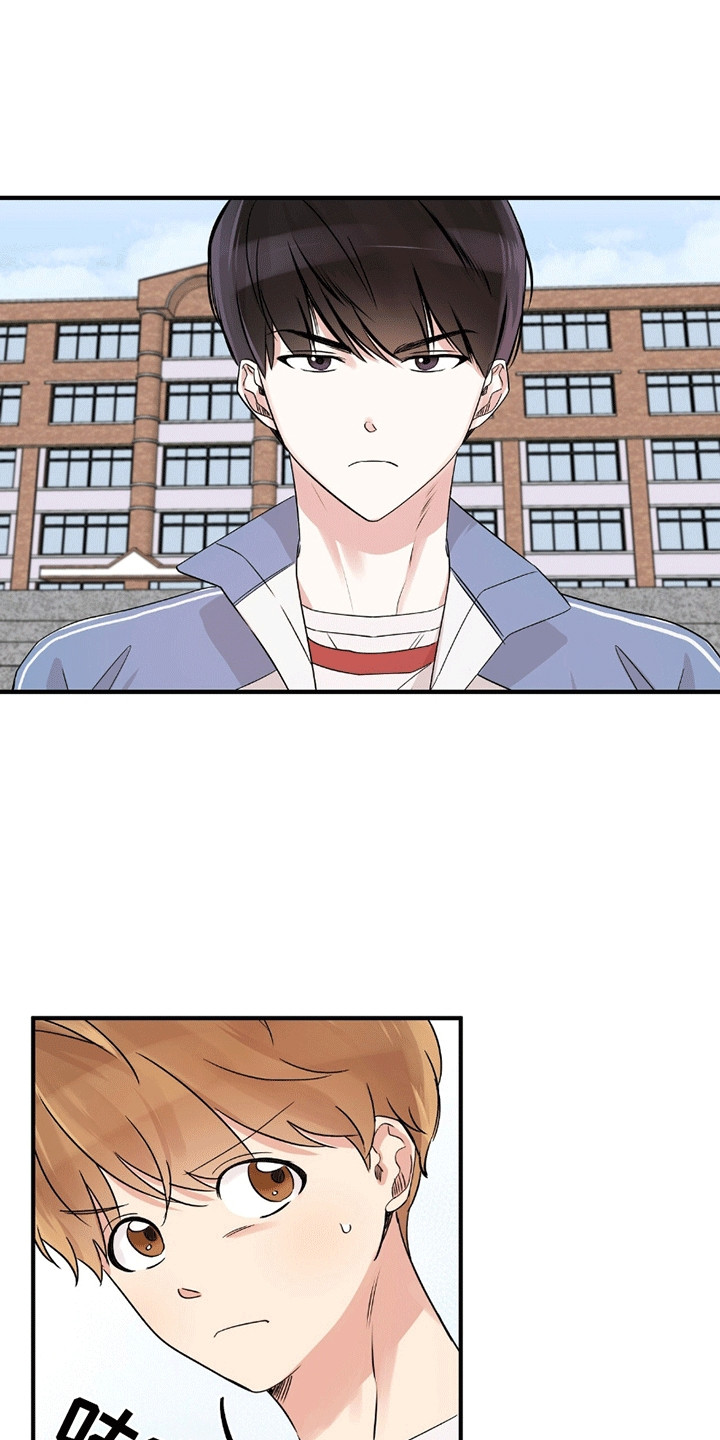 他的专属小狗漫画,第14章：最后一击3图