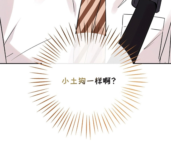 他的专属小狗漫画,第2章：小土狗4图