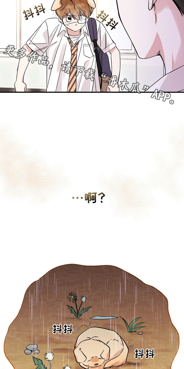 他的专属小狗漫画,第2章：小土狗2图