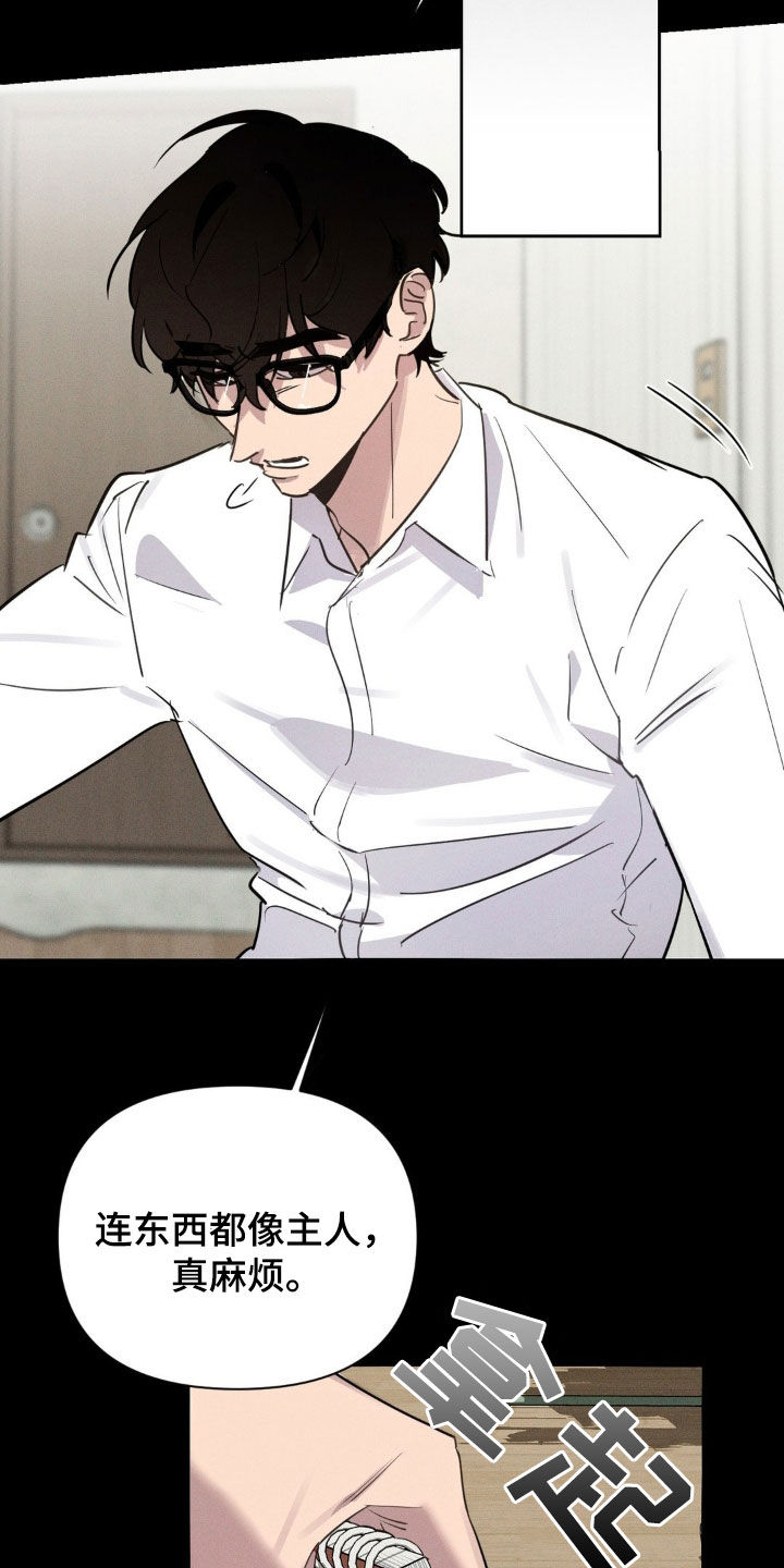 狗与人玩耍照片漫画,第23章：熟悉的脸4图