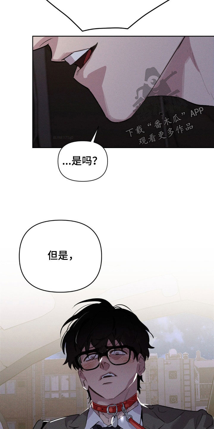 狗与酒作者是谁漫画,第27章：住手5图