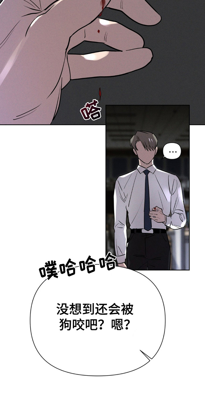 狗与酒漫画未删减完整漫画,第12章：眼神1图