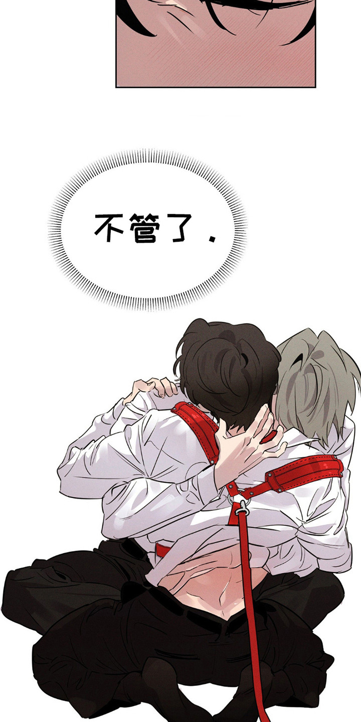 狗与酒第7话最新章节更新漫画,第17章：不管了3图