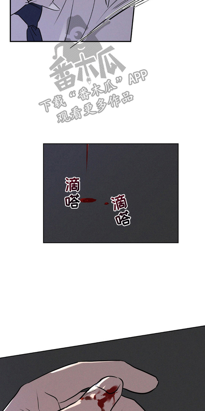 狗与酒漫画未删减完整漫画,第12章：眼神5图