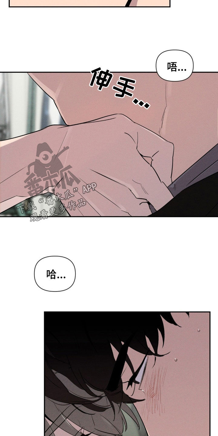 狗与人玩耍照片漫画,第18章：真的喜欢我？4图