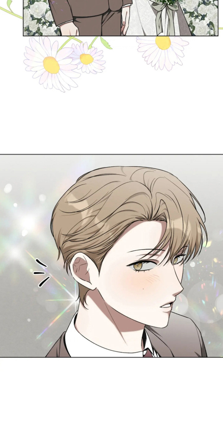 坏苹果替代品漫画,第16章：看错了1图