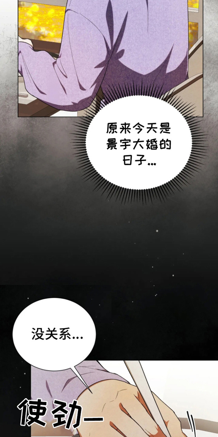 坏苹果替代品漫画,第16章：看错了1图