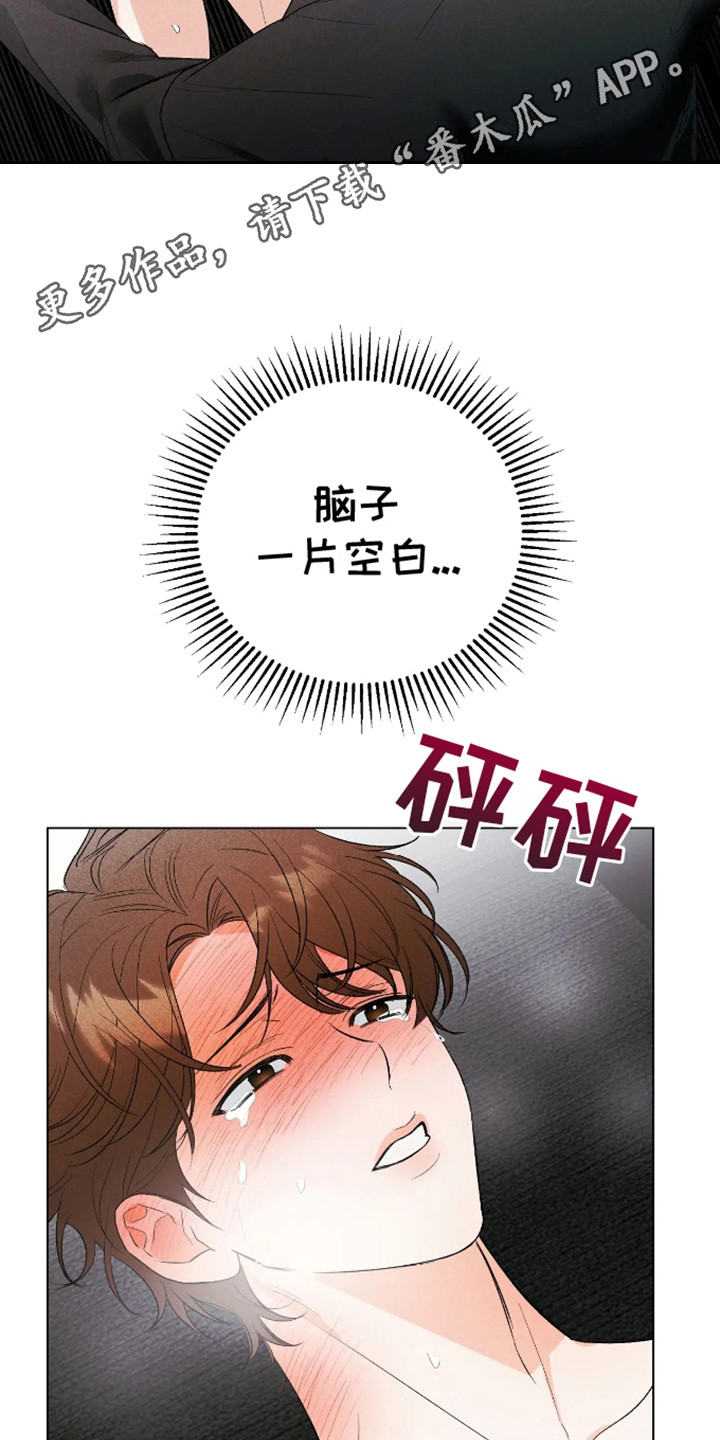 坏苹果替代品漫画,第6章：计划成功5图