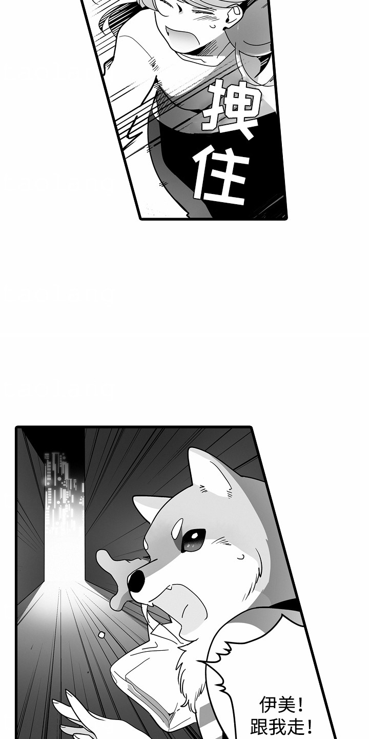善良的狼朋友漫画,第8章：新月之夜2图