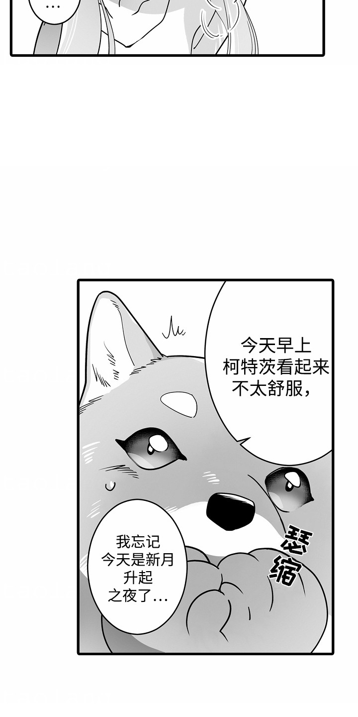 善良的狼朋友漫画,第9章：送药3图