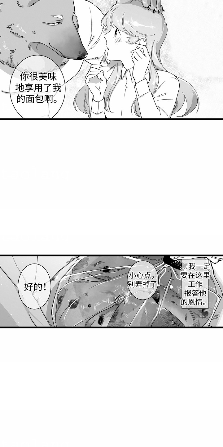 善良的狼朋友漫画,第3章：报恩3图