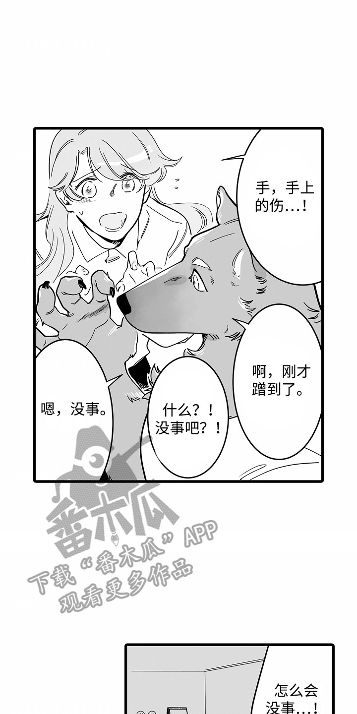善良的狼朋友漫画,第2章：面包店4图