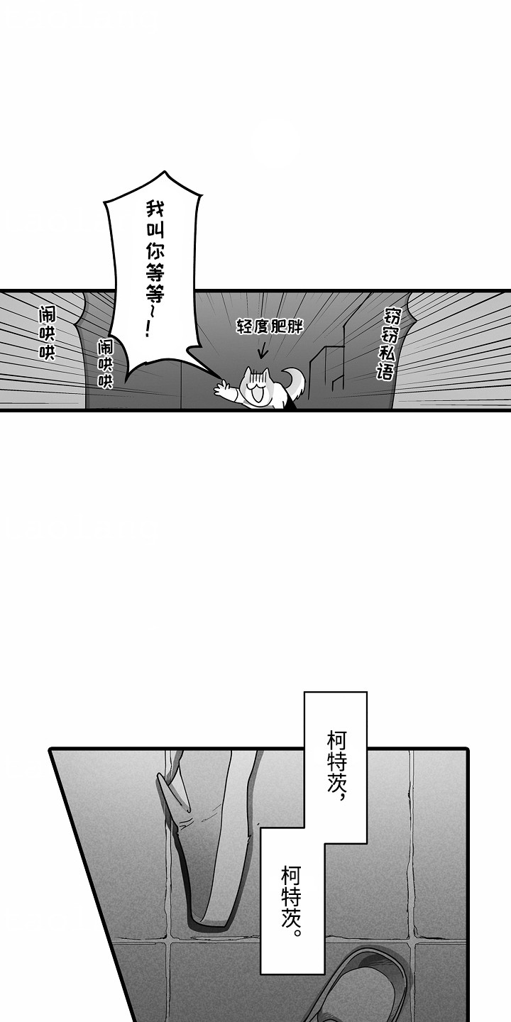 善良的狼朋友漫画,第9章：送药5图