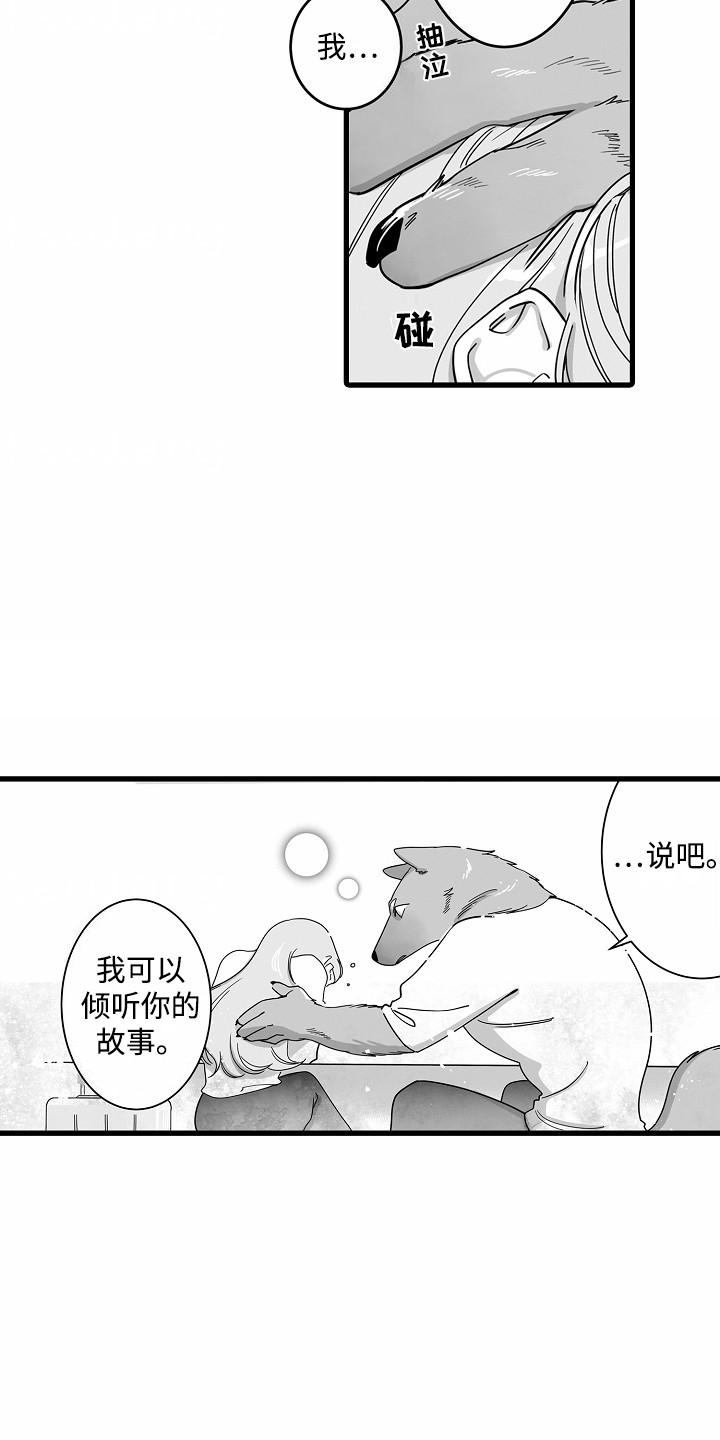 善良的狼朋友漫画,第2章：面包店5图