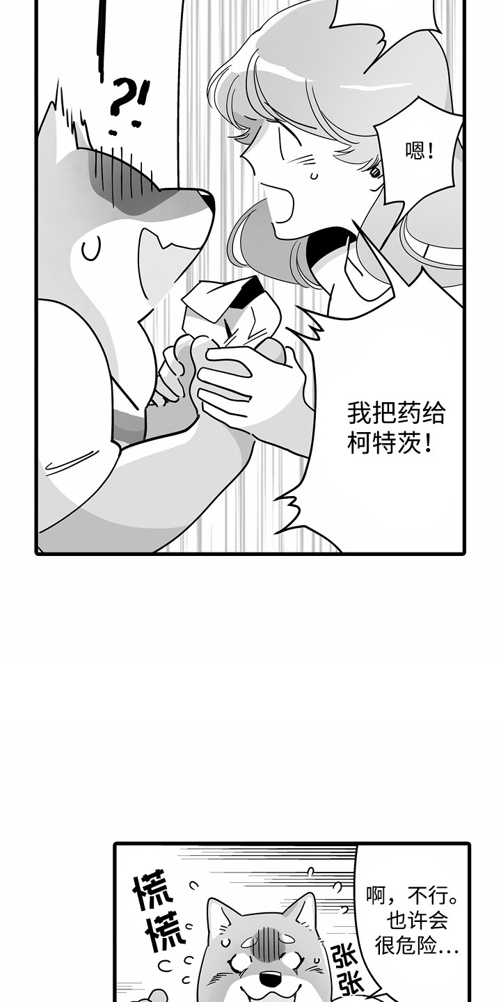 善良的狼朋友漫画,第9章：送药1图