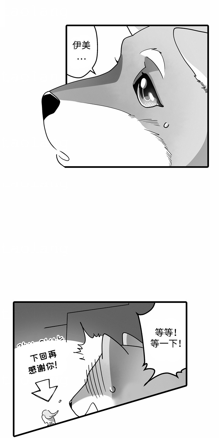 善良的狼朋友漫画,第9章：送药4图