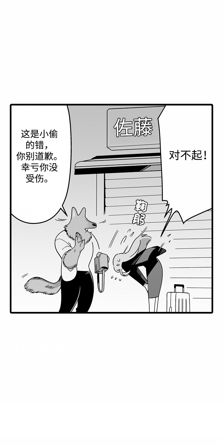 善良的狼朋友漫画,第1章：兽人5图