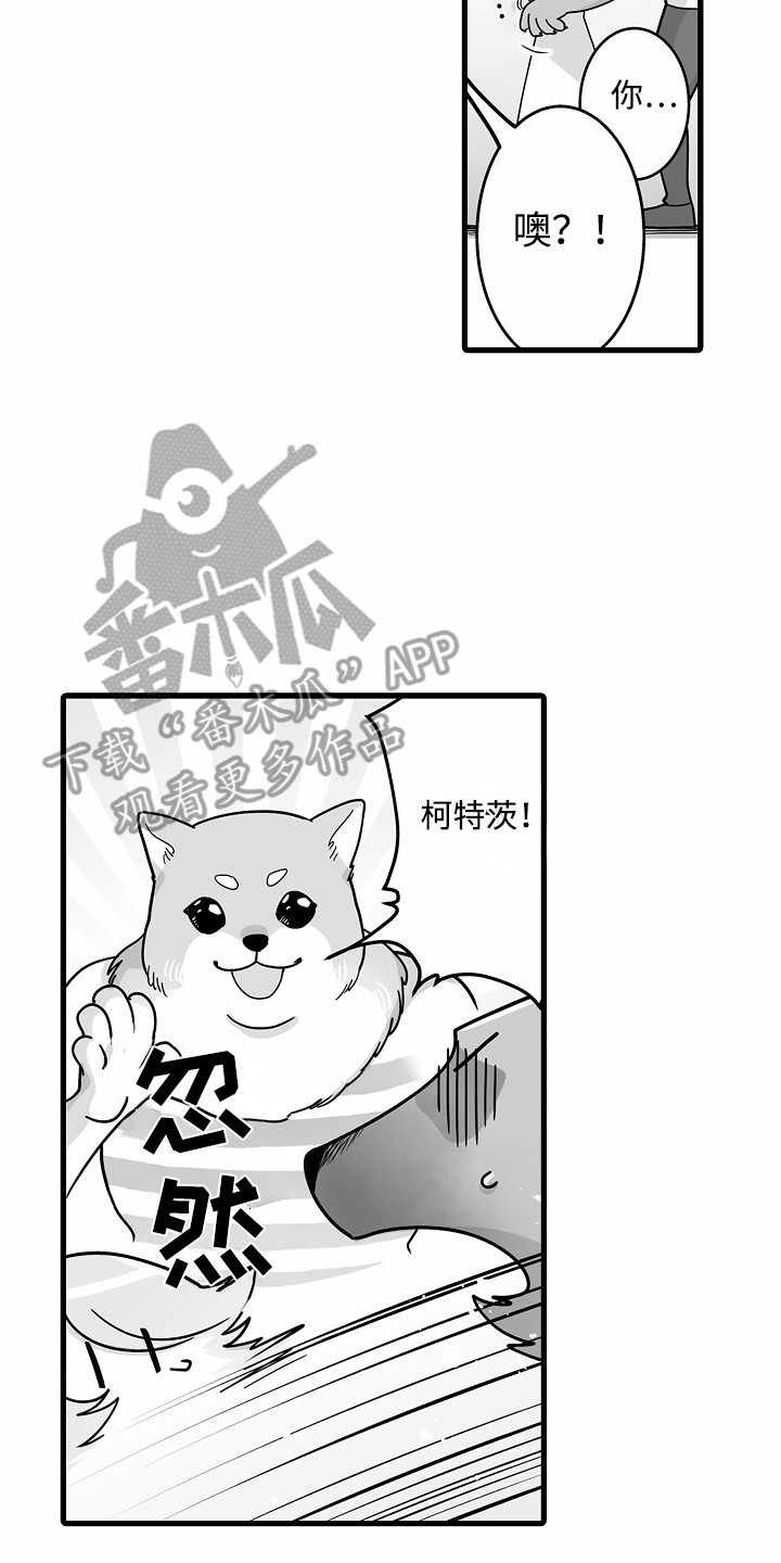 善良的狼朋友漫画,第6章：解围4图