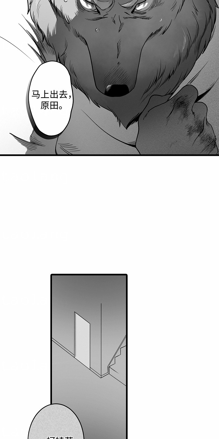 善良的狼朋友漫画,第10章：搞砸了5图