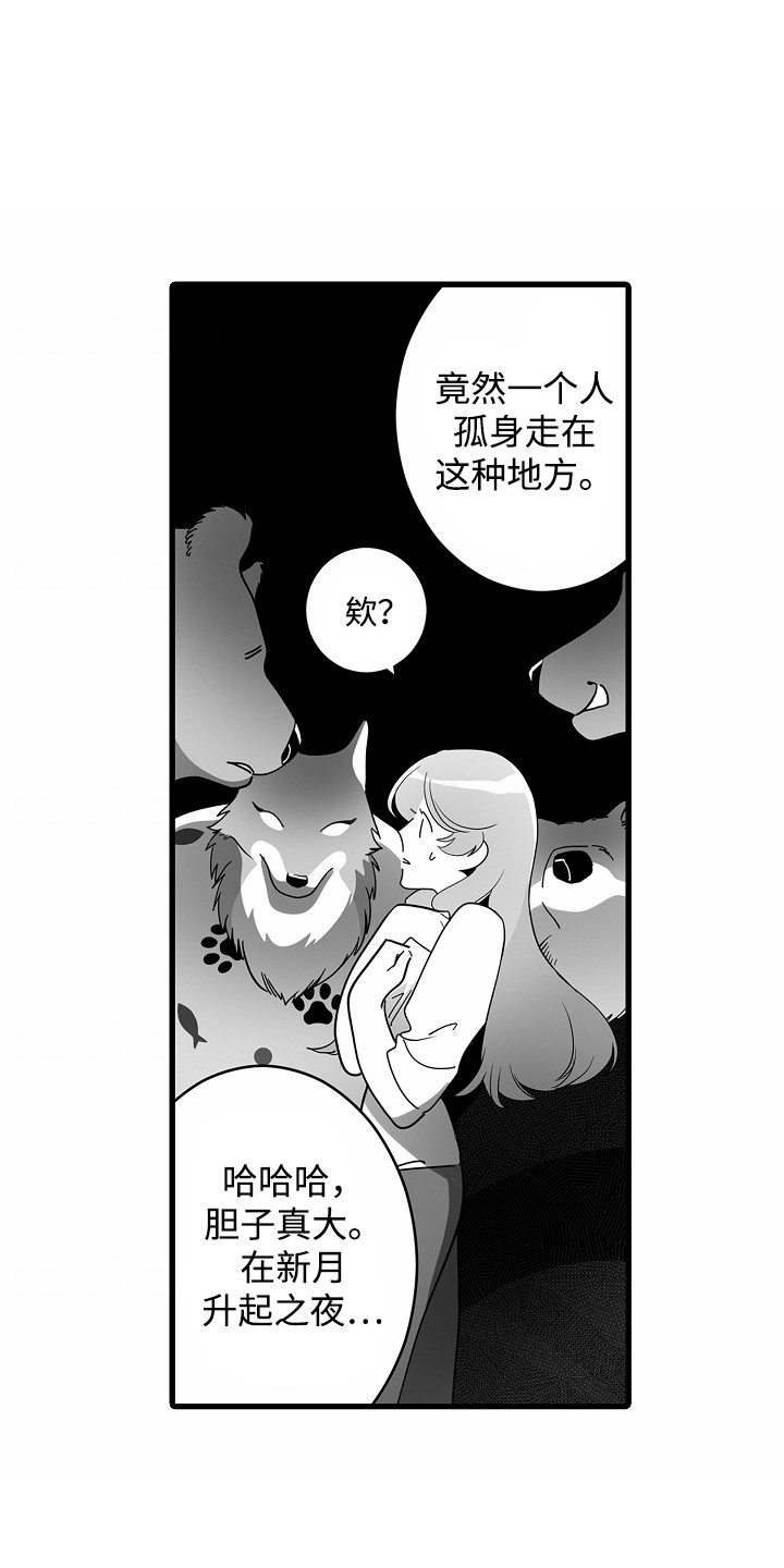 善良的狼朋友漫画,第8章：新月之夜3图