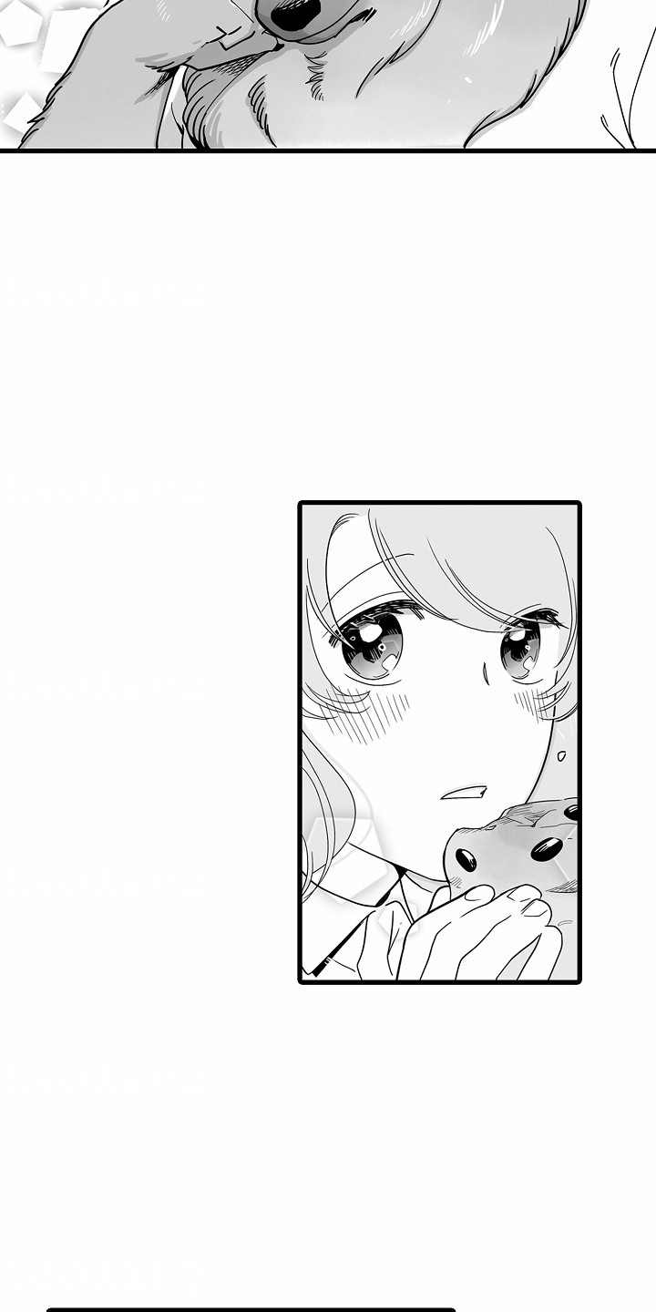 善良的狼朋友漫画,第2章：面包店1图