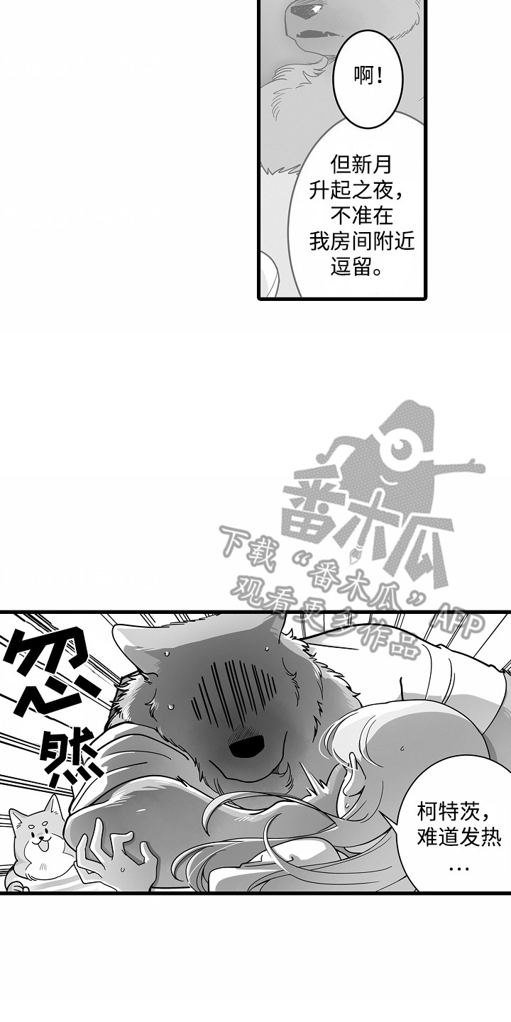 善良的狼朋友漫画,第6章：解围2图