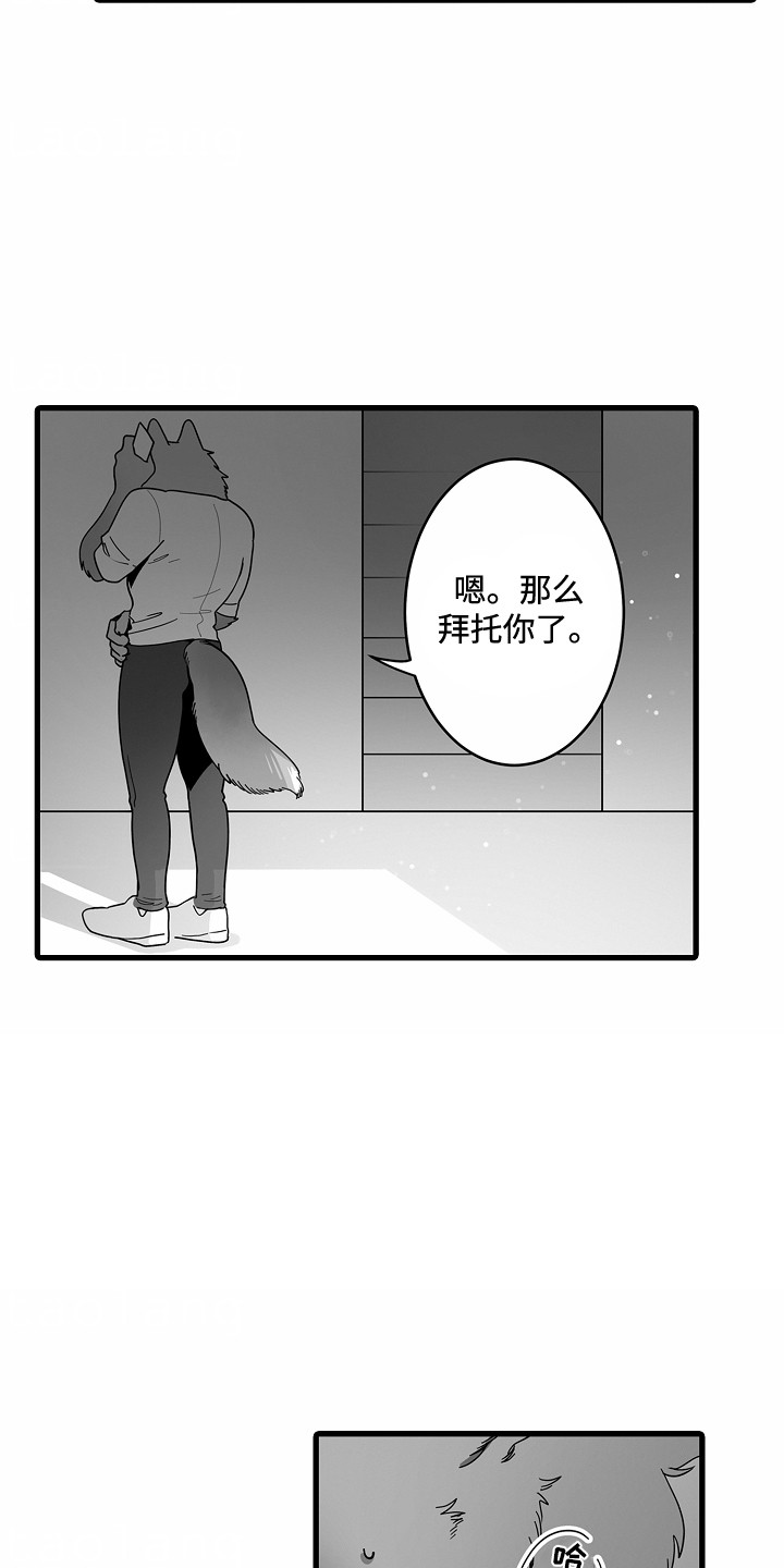 善良的狼朋友漫画,第8章：新月之夜5图
