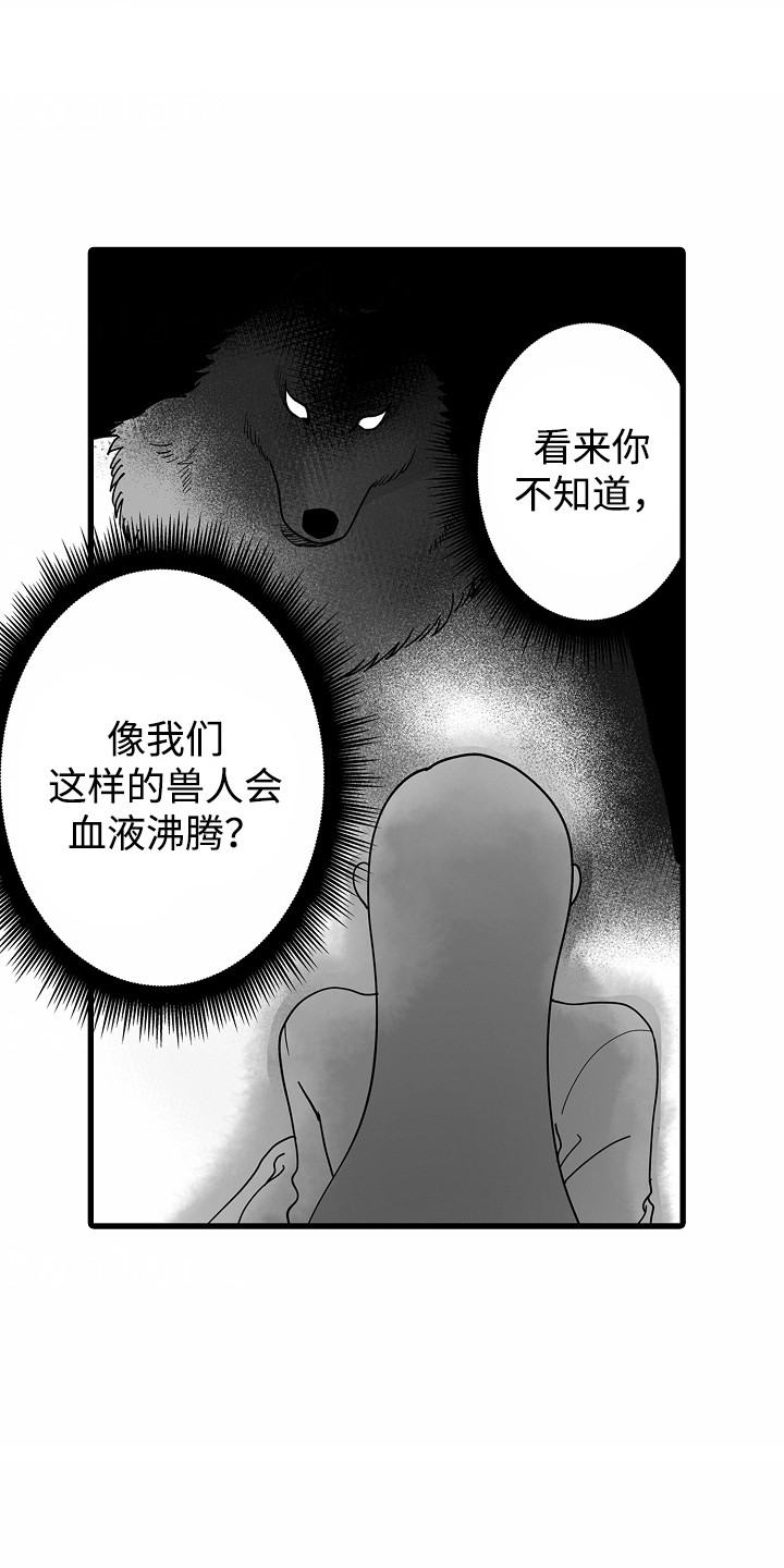 善良的狼朋友漫画,第10章：搞砸了4图