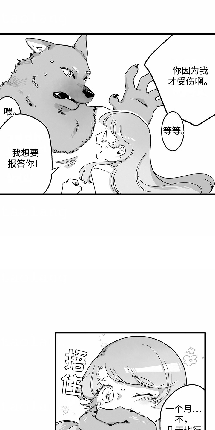善良的狼朋友漫画,第3章：报恩1图